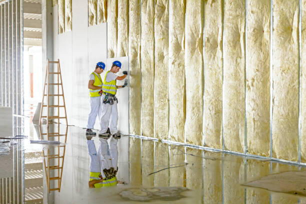 Best Residential Insulation in Plattsmouth, NE